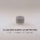 T25MM-Grey-Screw-Cap-Silver-Line.webp