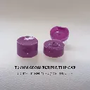 T25-Gloss-Purple-Flip-Cap.webp