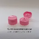 T25MM-Gloss-Pink-Flip-Cap.webp