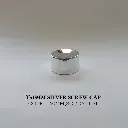 T40mm-Silver-Screw-Cap.webp